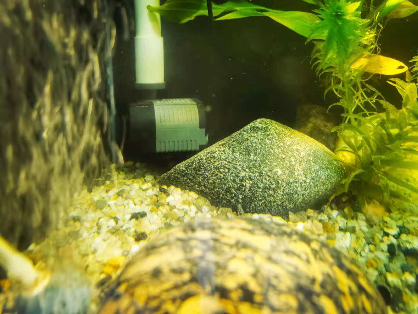 自己改造一体缸,40方缸原生缸用什么过滤好