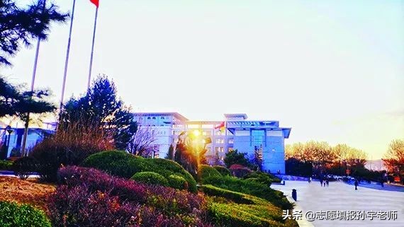 每日一校黑龙江科技大学,每日一校大连科技学院