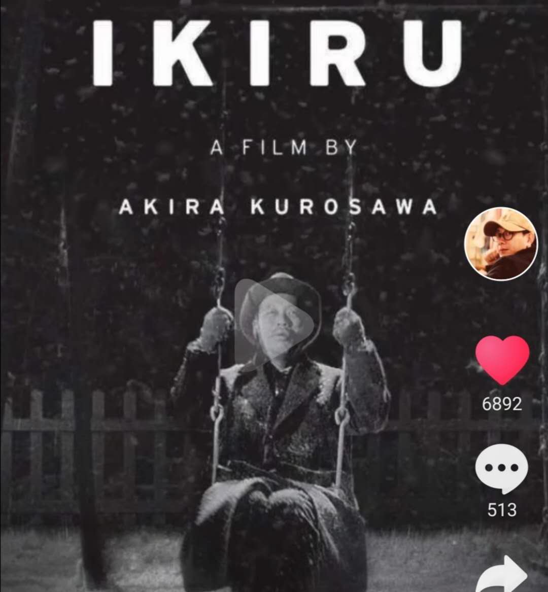 疫情来了才懂得珍惜,疫情来了才知道自由多重要