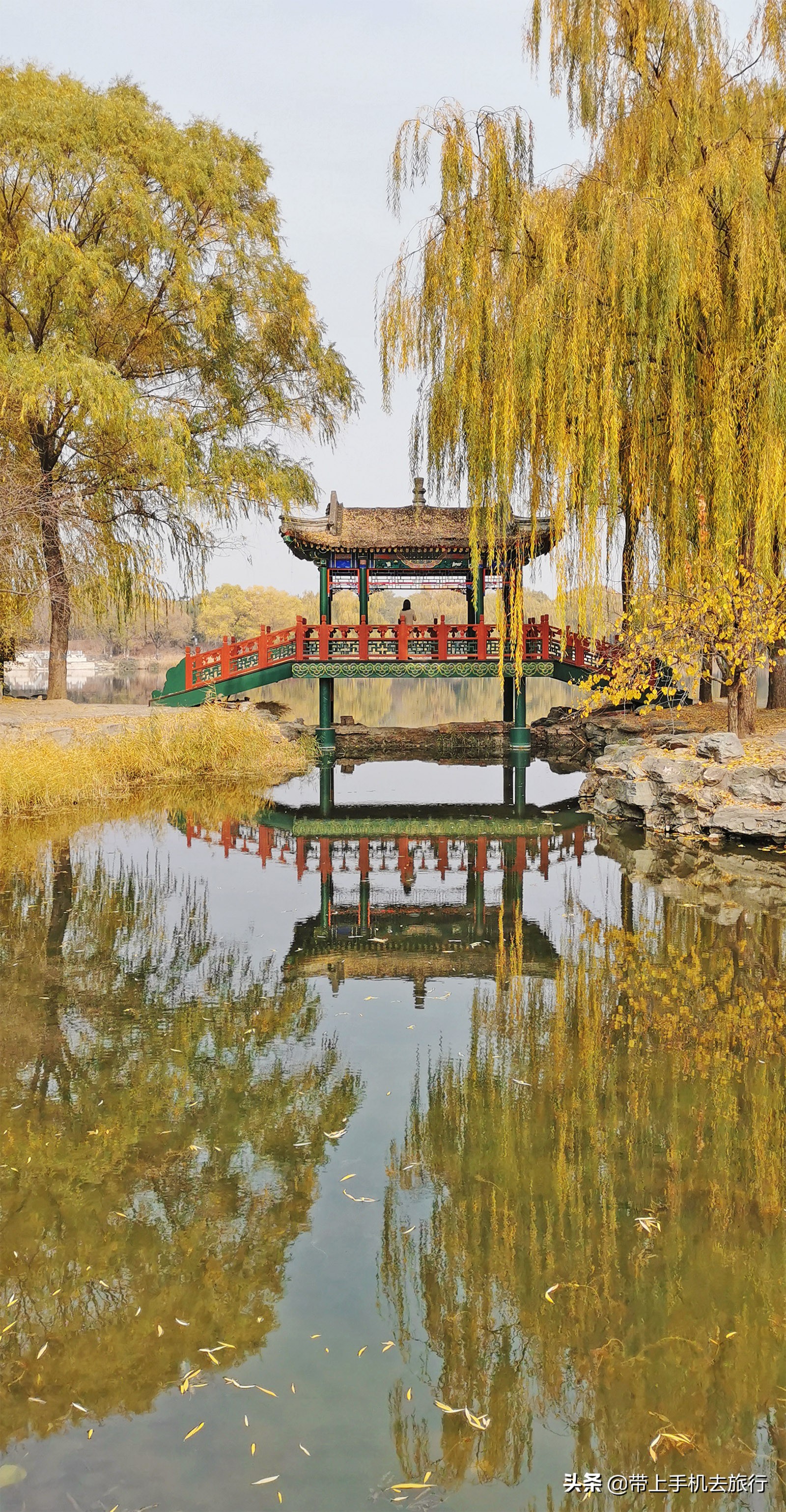 手机拍照是竖的好还是横的好,手机拍照横着和竖着的比例