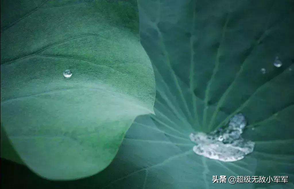 佛说做人请不要炫耀,佛说为什么不能炫耀