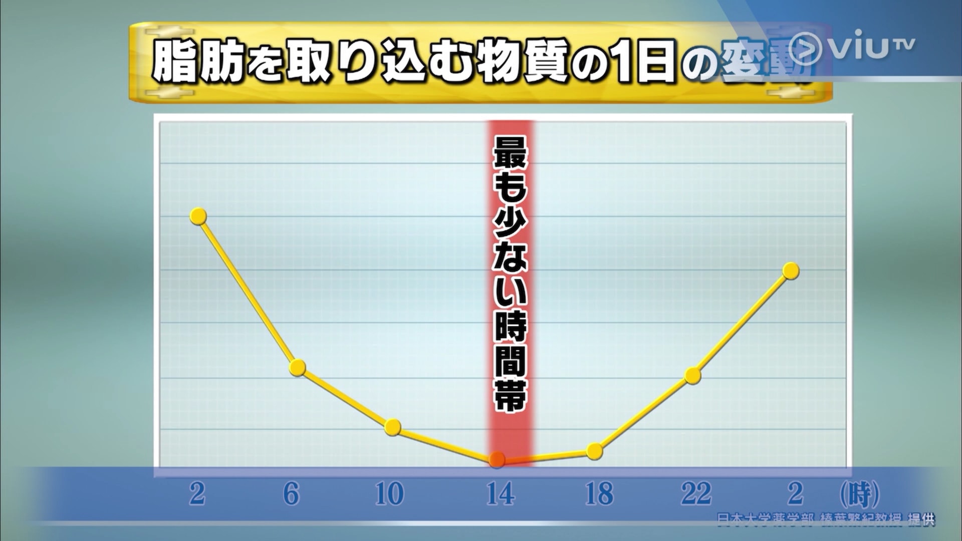 减肥医生推荐吃的食品,减肥营养餐日本人