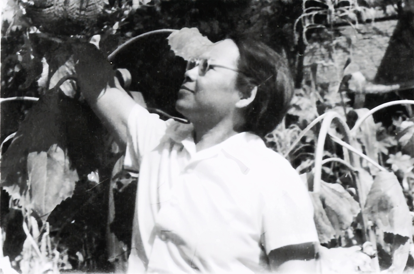 五大道小学怎么样,五大道小学