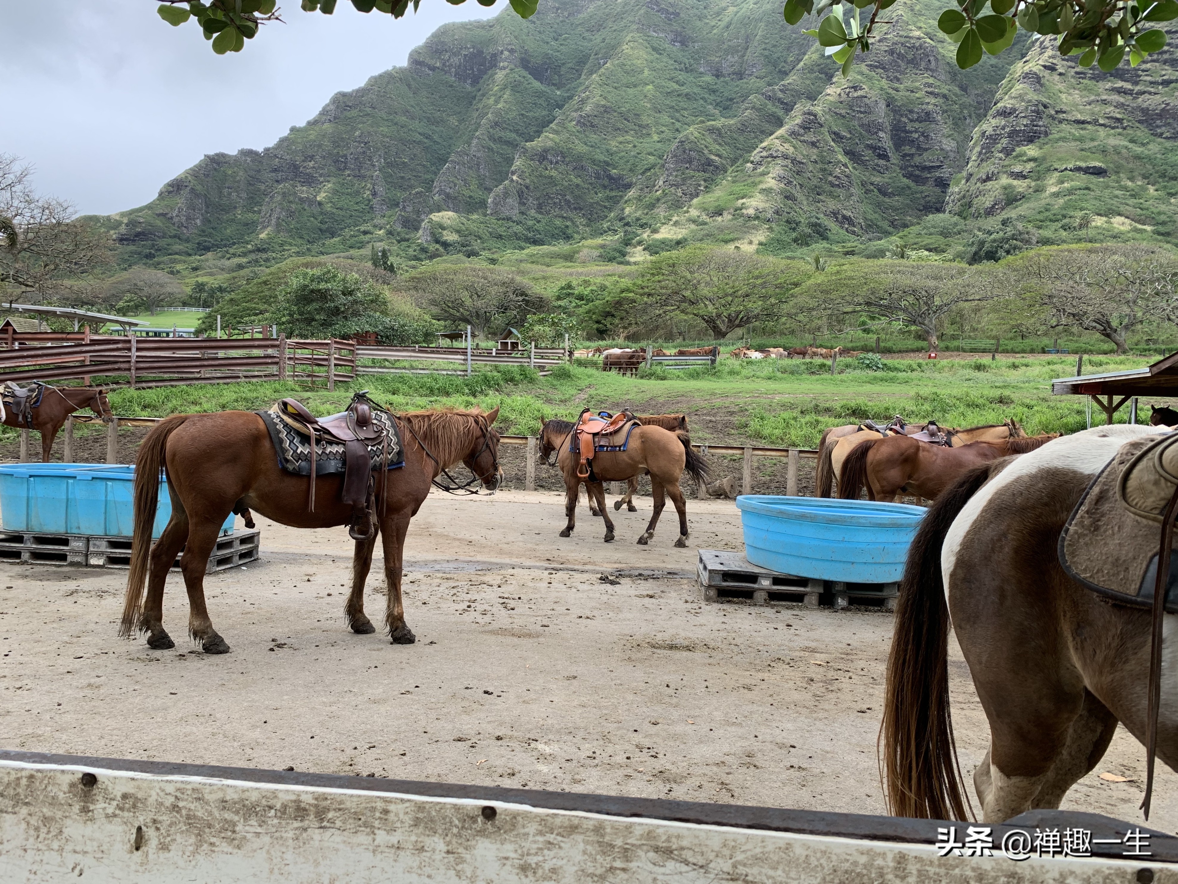 西班牙人哪里有好玩的,西班牙人看巴塞罗那