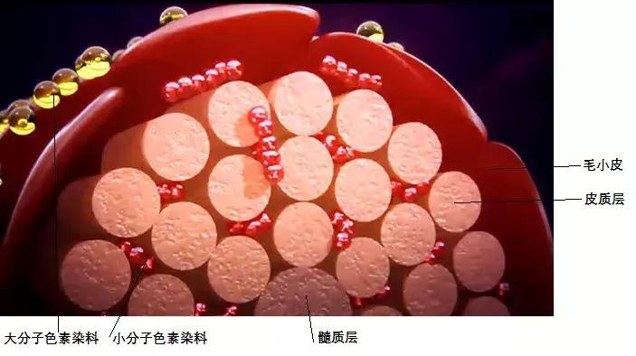 染发剂都会致癌吗,染发剂致癌是真的吗