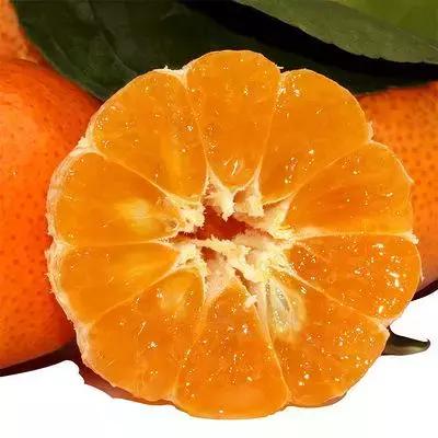 广东四会翡翠玉石源头,四会玉器之乡在哪里