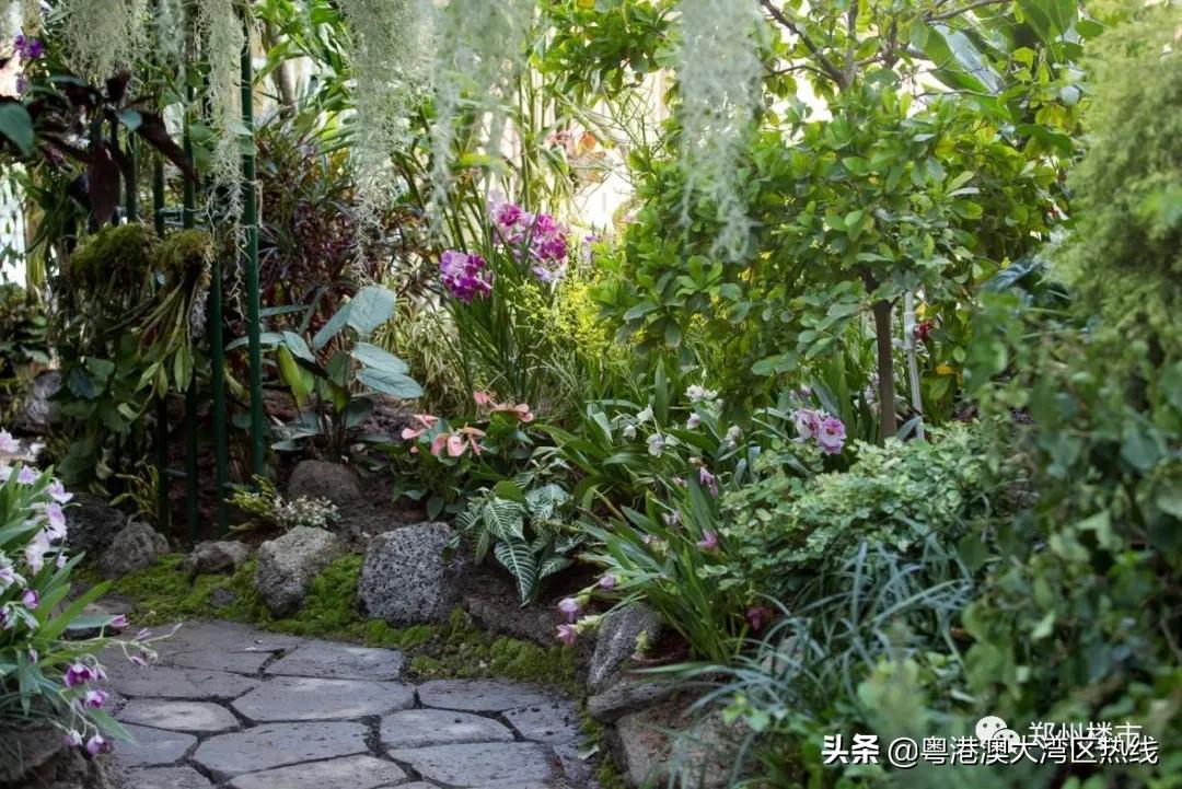 建业天筑哪栋楼好,现在龙湖建业天筑能按时交房吗