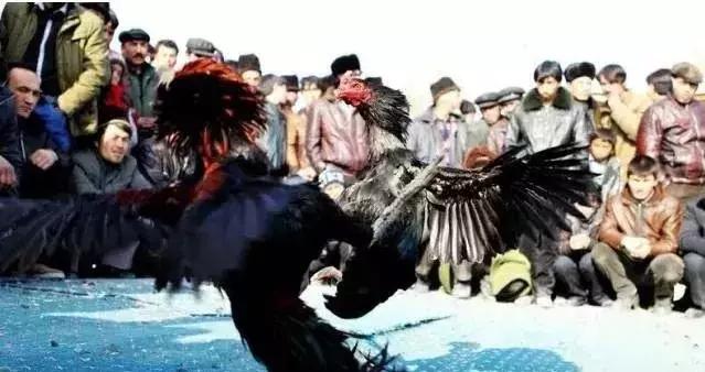 南疆小县城的百年饮料，制作技术堪比茅台，被誉为中国白兰地