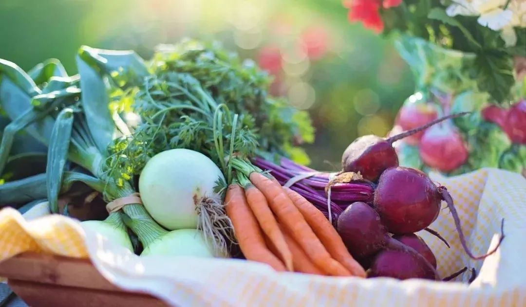 中国有机农业的道路应该如何寻找,有机农业中国农业