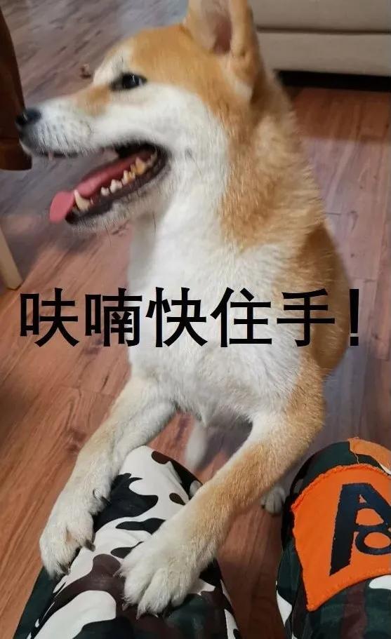 饮水机出了一只蟑螂怎么办,饮水机接出来的蟑螂能活多久