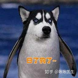 “包治百病”的卫生巾，为什么那么多人会上当？