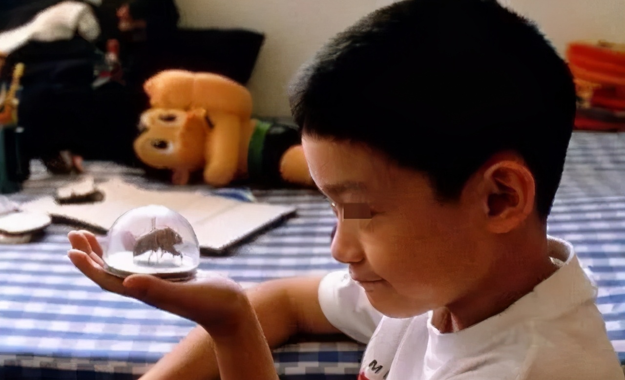 长期吃有防腐剂的东西有什么危害,食品中的防腐剂对人体有什么危害