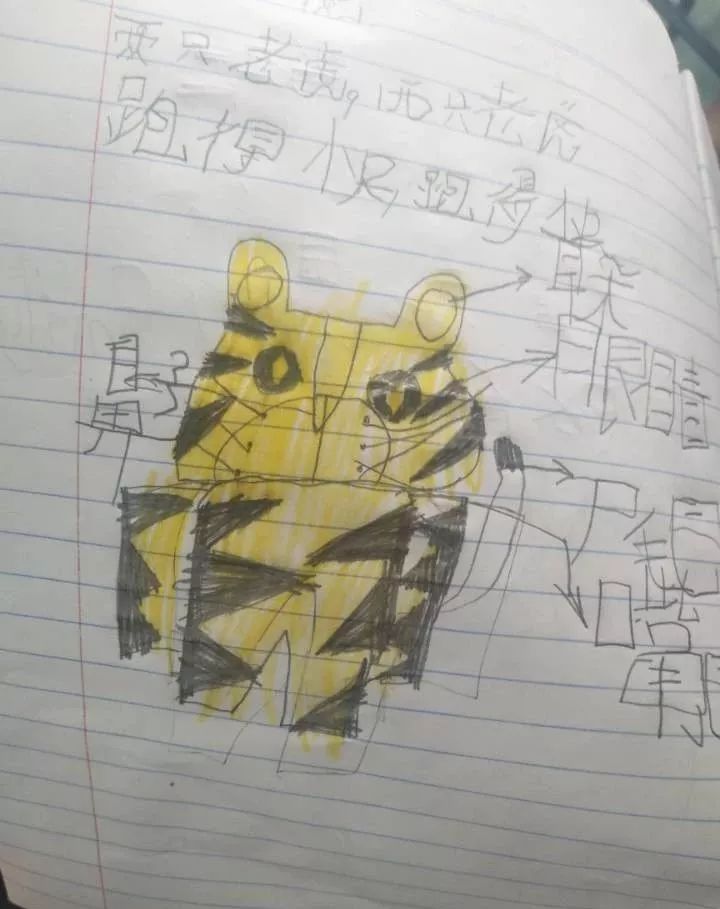 为什么选择泰国留学的人多,为什么很多人到泰国读国际学校