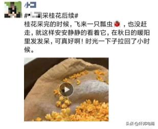 怎么通过淘宝私域做销量和评价,淘宝如何引流到自己私域