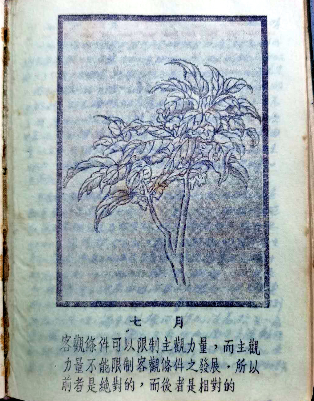 一个志愿军的下层文职军官的日记,一个志愿军下层文职的日记