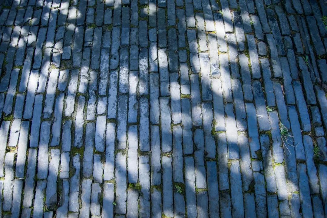 十二句最哲理诗词,十首顶级哲理诗词