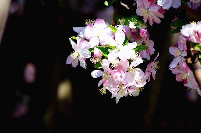 不会来事的人是啥性格,会来事的人是好是坏呢