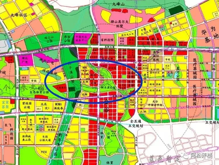 必将开创光谷的先河！极端位置！户型令人惊掉大牙！