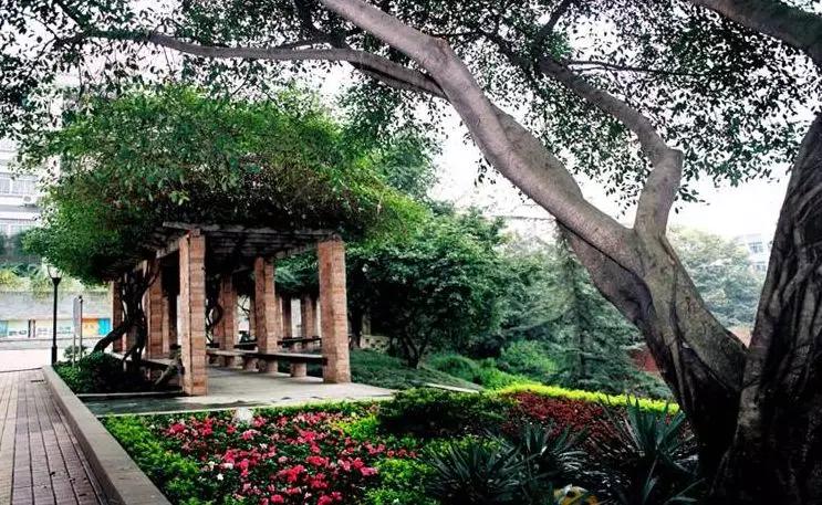 铁路高中选择学生标准,选铁路要选对学校