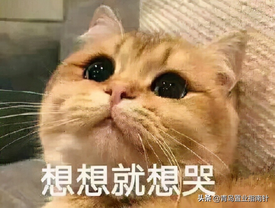 辽阳二手房还可以买吗,辽阳低价急售二手房几万块钱