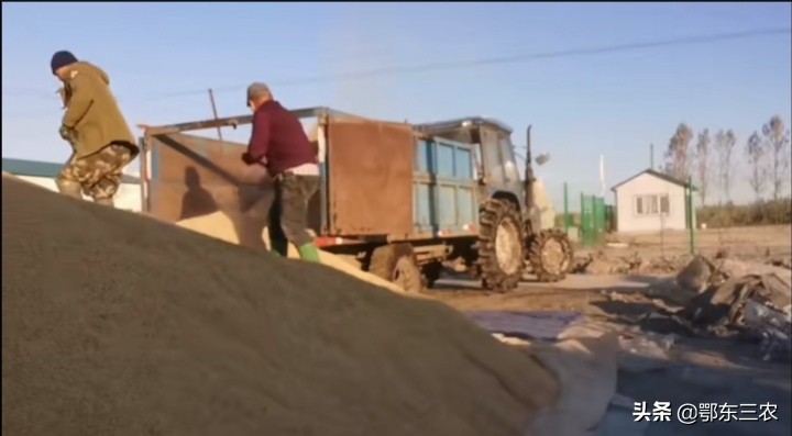 北大荒种2000亩玉米,北大荒农场水稻户