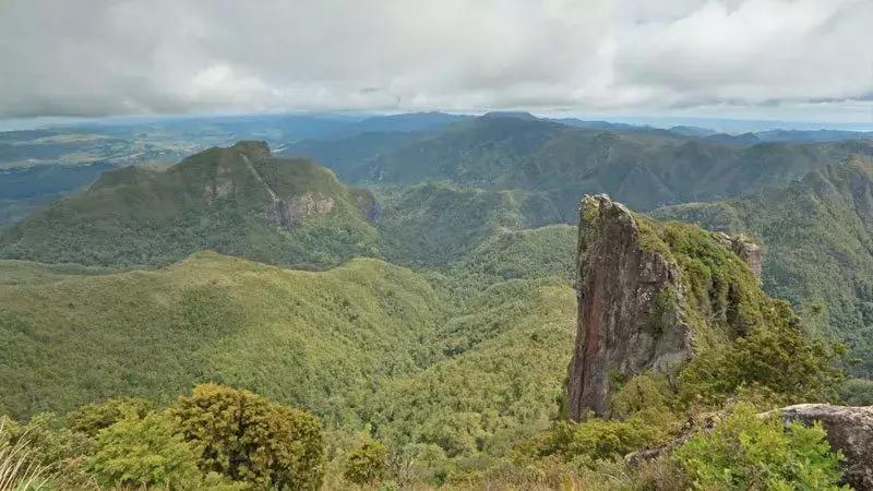 你来过新西兰，可到过水星湾？