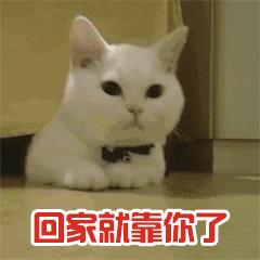 铁路12306用抢票软件加价就能买到？宁波网警带你揭秘......