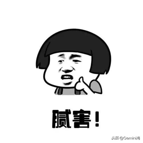 文玩小乌龟,文玩乌龟代表什么