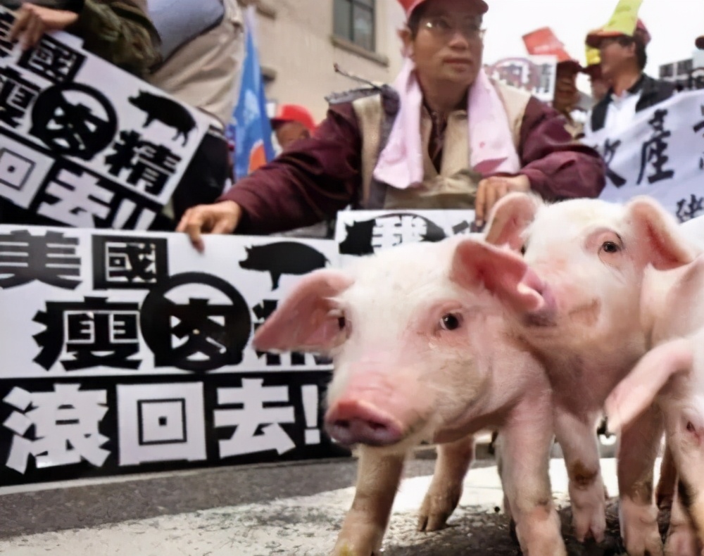 看透蓝绿两*党**的本质!*进党民**太坏,国民*党**太无能,靠谁统一台湾?