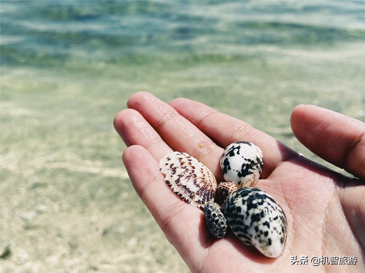 日照吴家台渔家排名前十名,日照吴家台渔家乐海鲜餐厅民宿