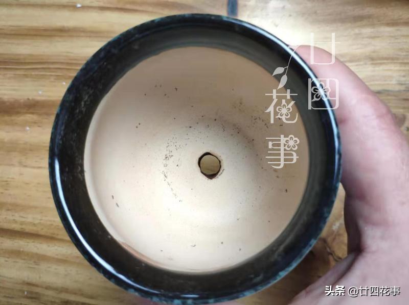 给多肉选花盆，除了看颜值外，还有3个关键指标，直接关系钱包