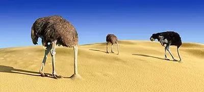 大雾缓解干旱的作用,大雾给人一种朦胧美