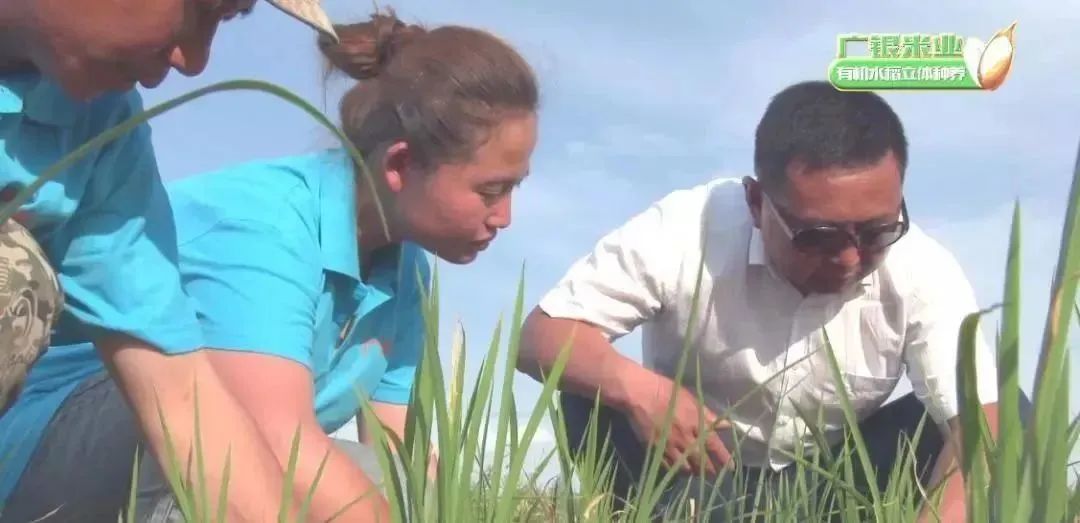 中国用了占世界多少的耕地,我国用占世界百分之几的耕地