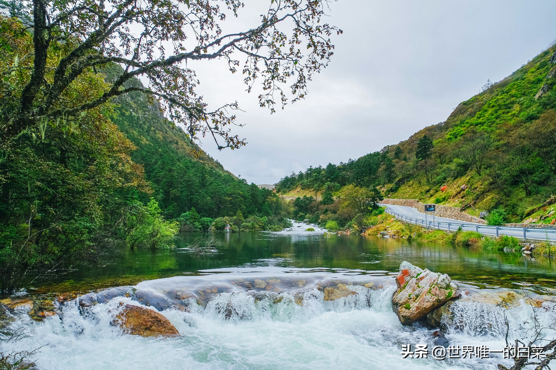 康定情歌川西旅游,318川西康定木格措