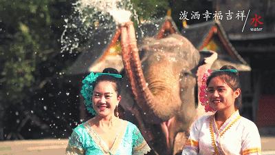 傣历1385年泼水节活动时间安排,泼水节傣历1385年活动表