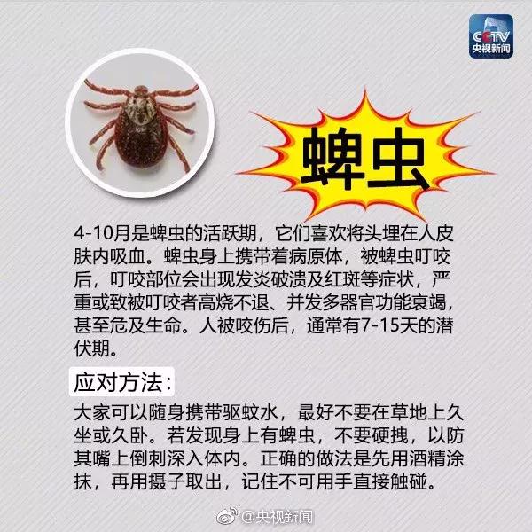 扩散！南宁邕江边发现红火蚁，被它叮了很恐怖，严重可致死