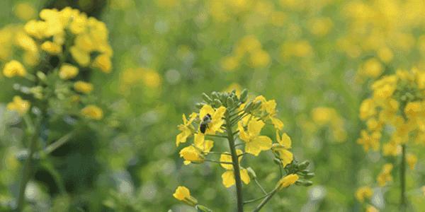 我们太太太太久没见了，这次我想跟你...