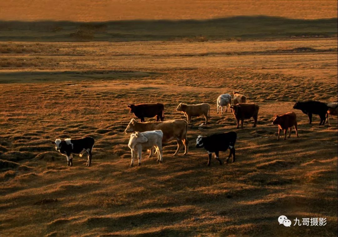 坝上草原天路美景,大美坝上风光系列之一