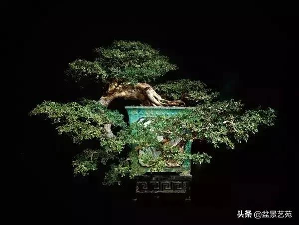 西泠印社砚台最高价拍卖记录,杭州西泠拍卖盆景