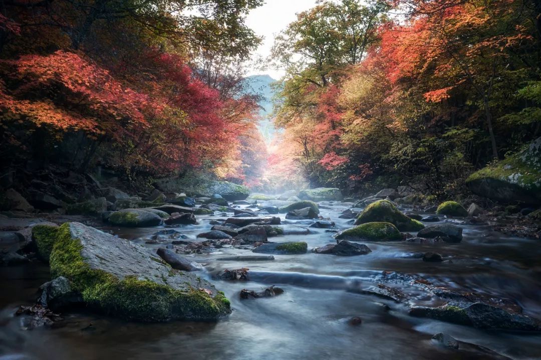 谁是东北第一城,谁才是东北第一城市
