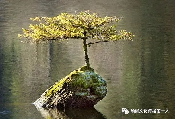 文玩文案*击狙**手：招商文案决定你赚钱的速度