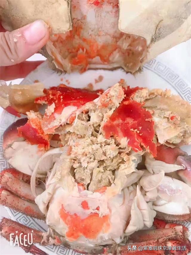 吴家台渔家民宿小院,海岛渔家客栈