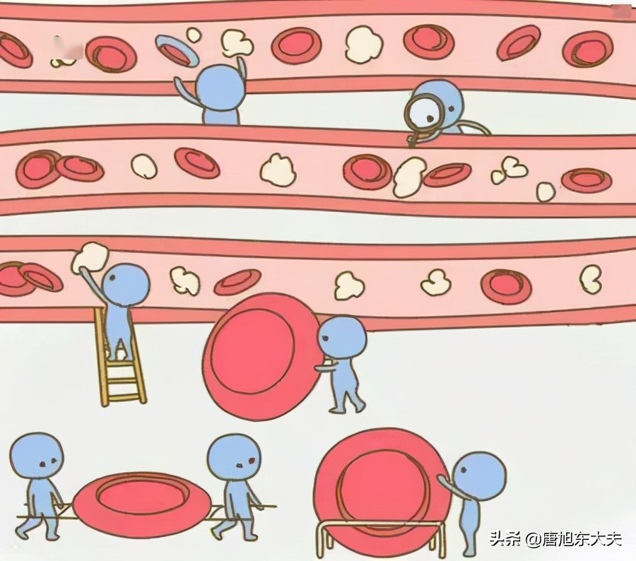 血常规白细胞高10.85有什么危害,血常规白细胞过低是什么意思