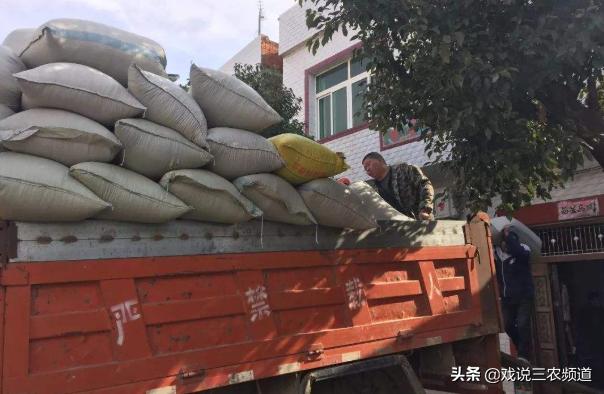 粮价上涨真的能改善农民收入吗,粮价上涨收粮食能赚钱么