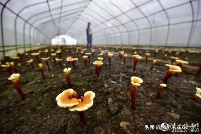 黔东南世外桃源,黔东南春节游玩推荐