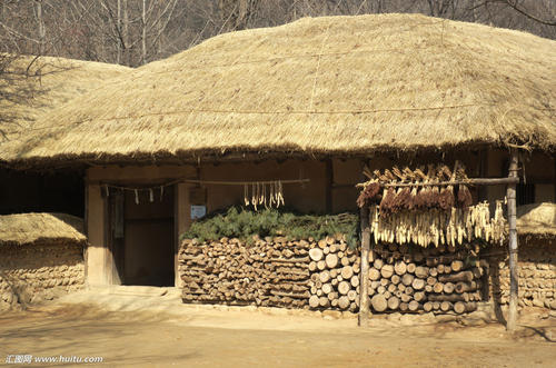 散文草,散文野草篇