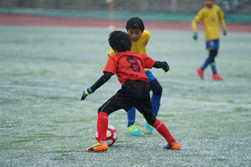 足球小将国际杯,中国足球小将全国赛事