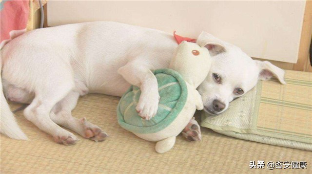 宝爸嘴里的烟卷，婴儿身上的湿疹