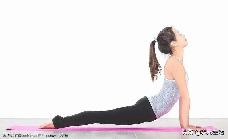 老筋长寿命长,每天拉筋筋长一寸寿延十年