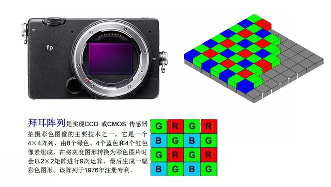 没有8K就不拍视频了?最详细全画幅专业电影机适马fp使用分享来了